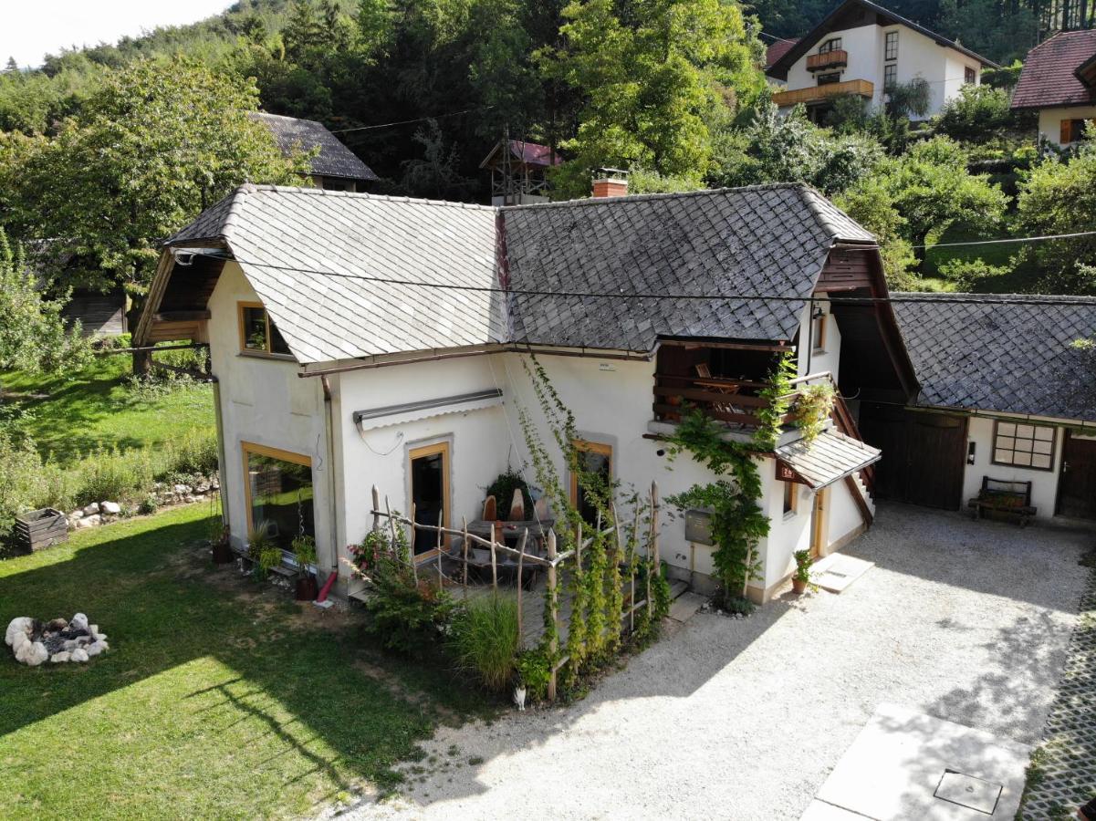 Apartment Polane Blejska Dobrava Экстерьер фото